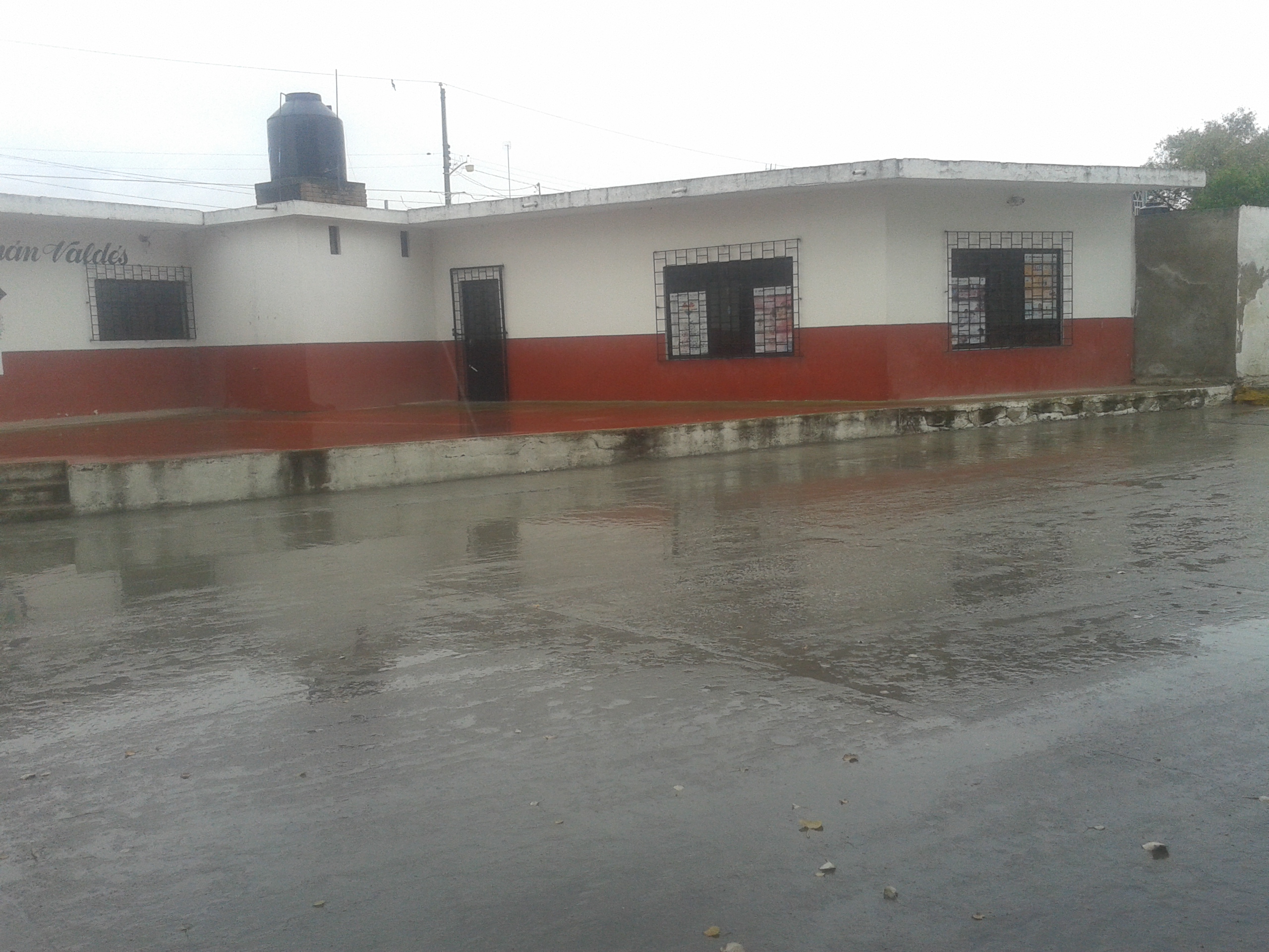 imagen1