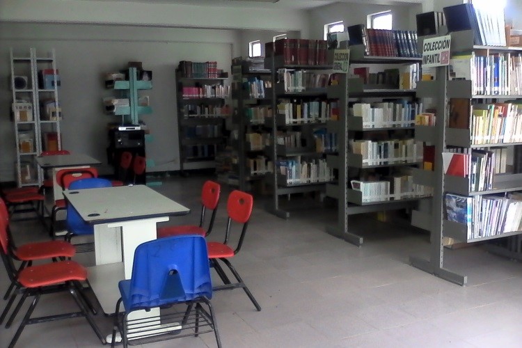 imagen2