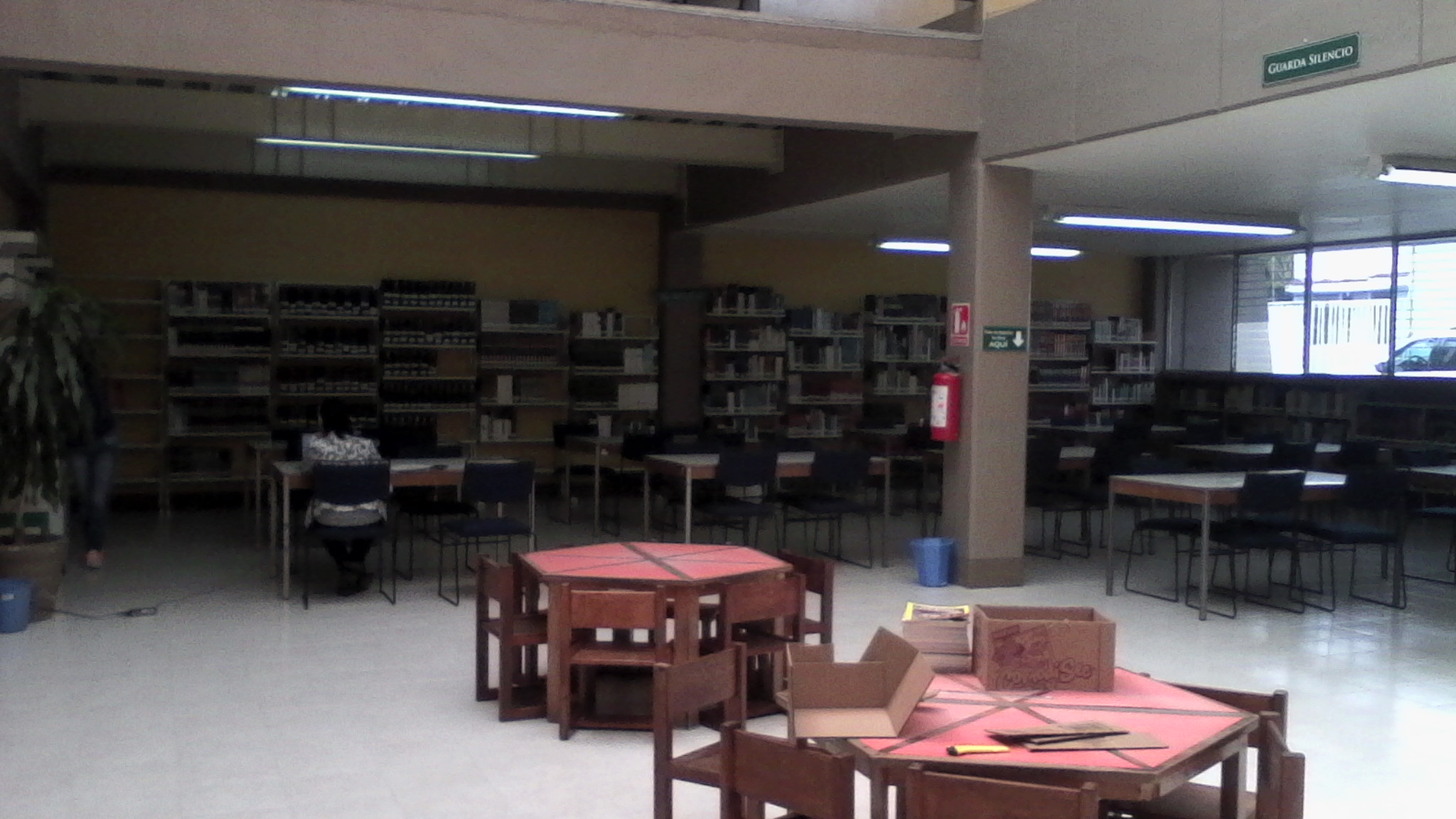 imagen3
