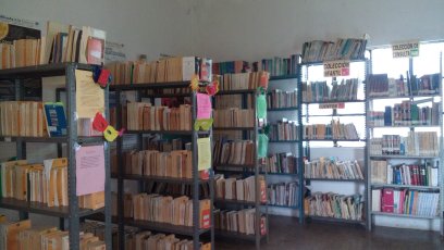 imagen3