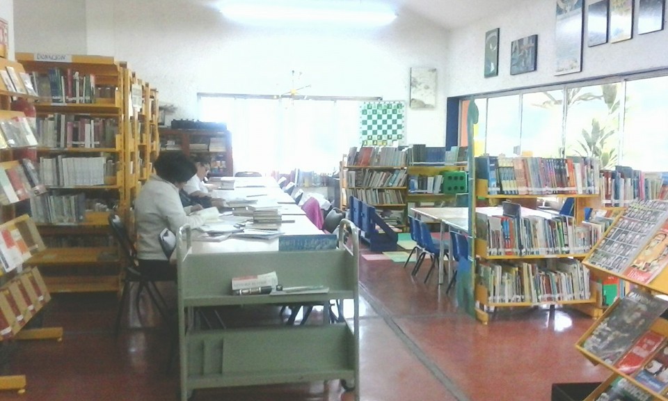 imagen1