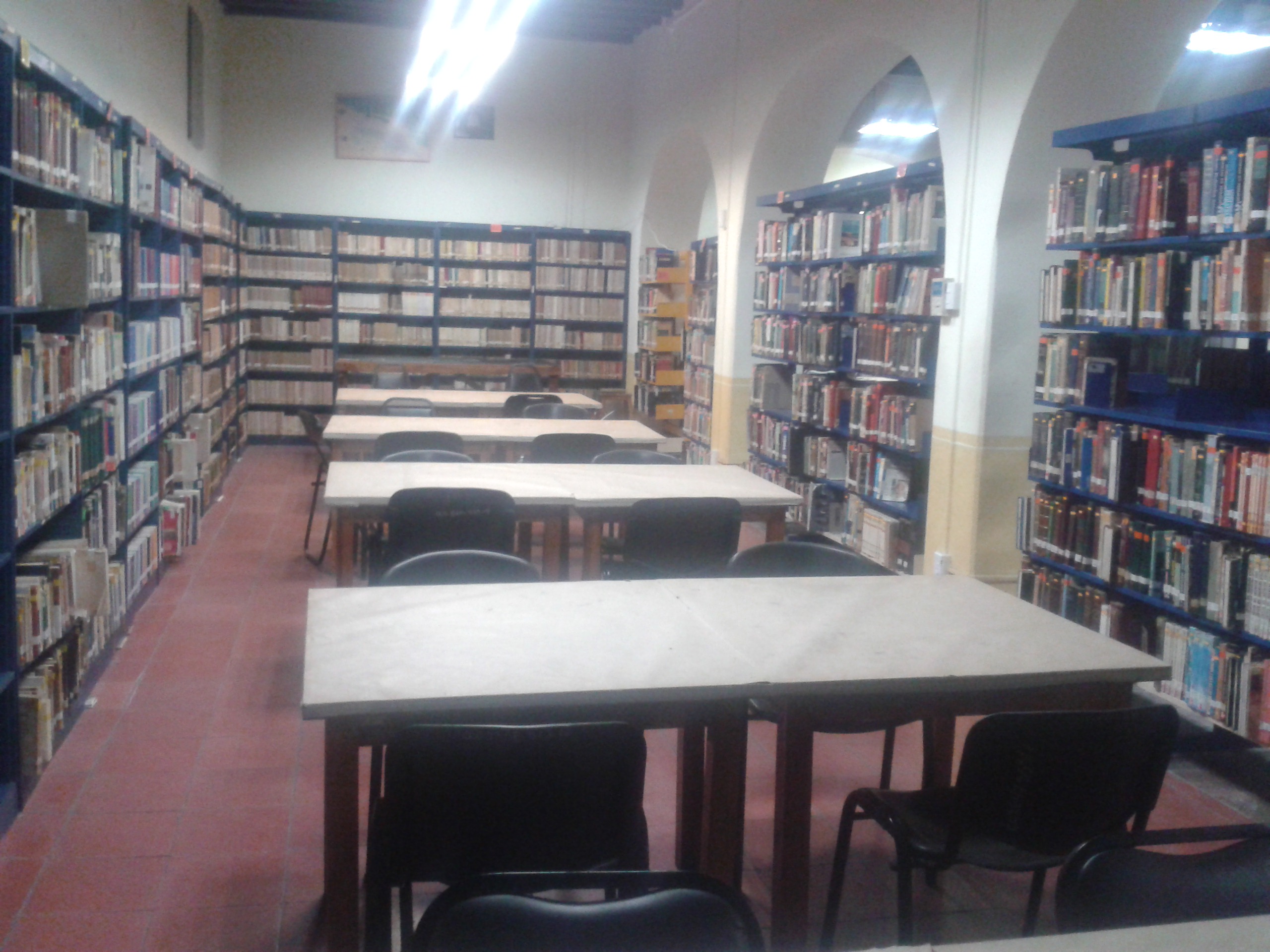 imagen1
