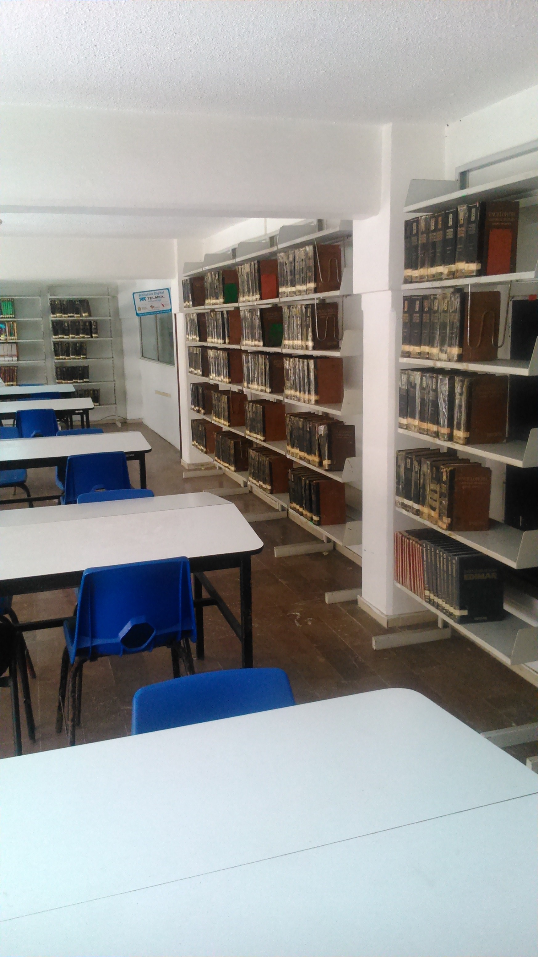 imagen1