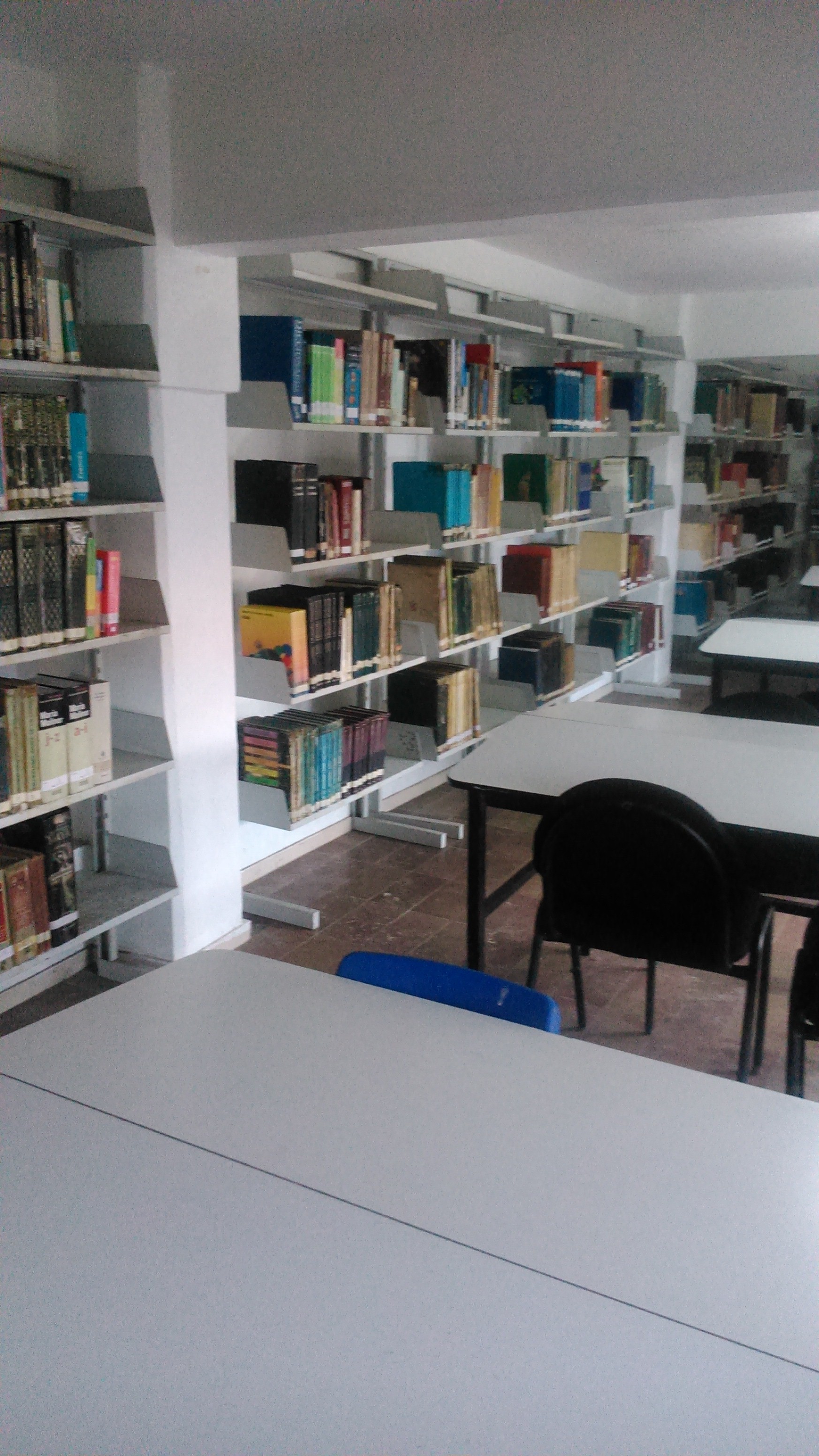 imagen3