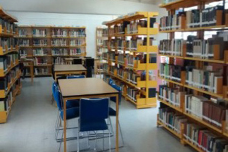 imagen3
