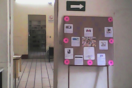 imagen3