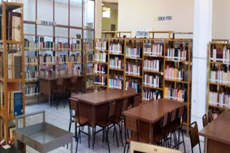 imagen2