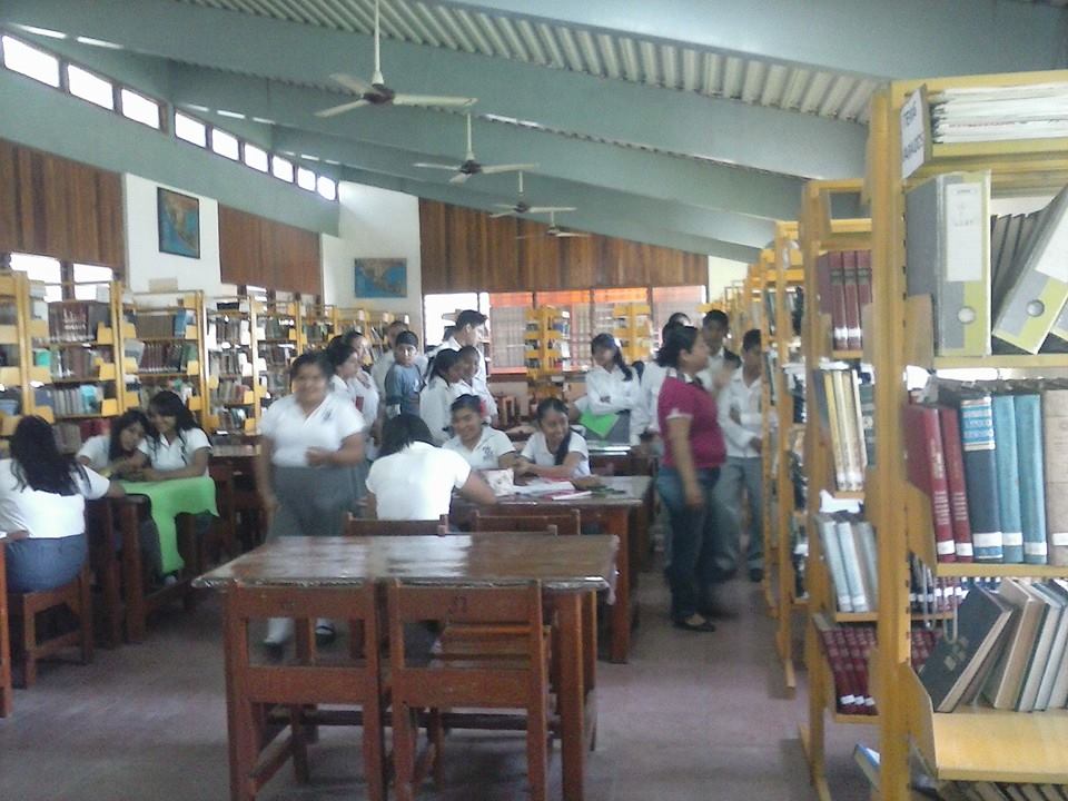 imagen3