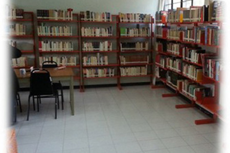 imagen1