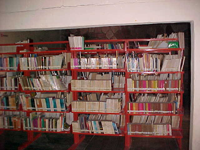 imagen1