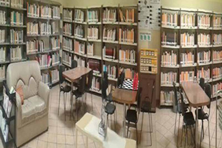 imagen3