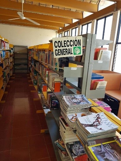 imagen3
