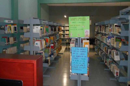 imagen3