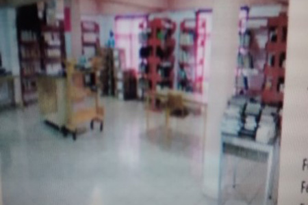 imagen0