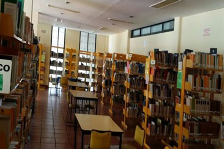 imagen1