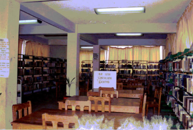 imagen1