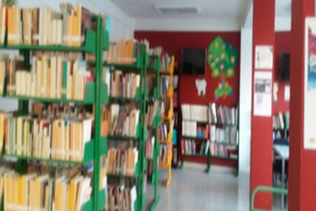 imagen0