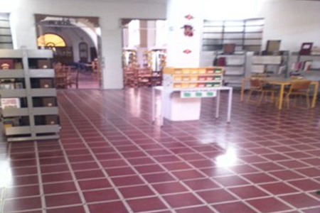 imagen3