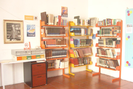 imagen3