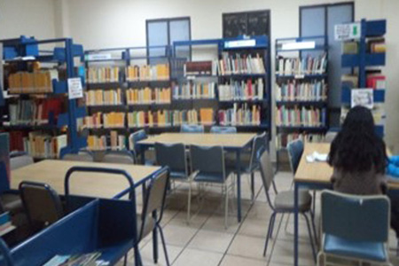 imagen1