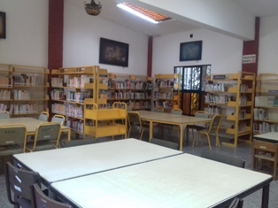 imagen1