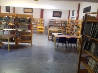 imagen3