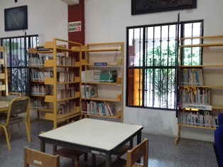 imagen3