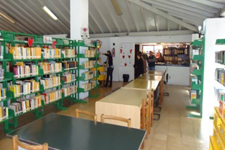 imagen1