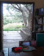 imagen1