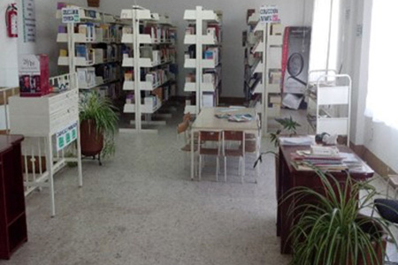 imagen1