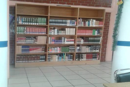imagen3