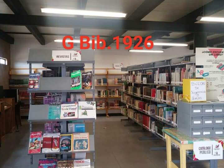 imagen1