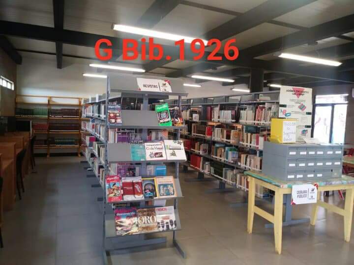 imagen3