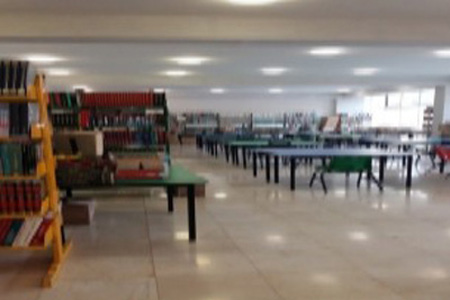 imagen1