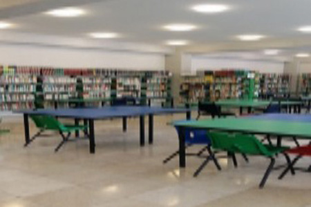 imagen2