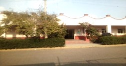 imagen2