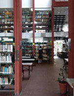 imagen3