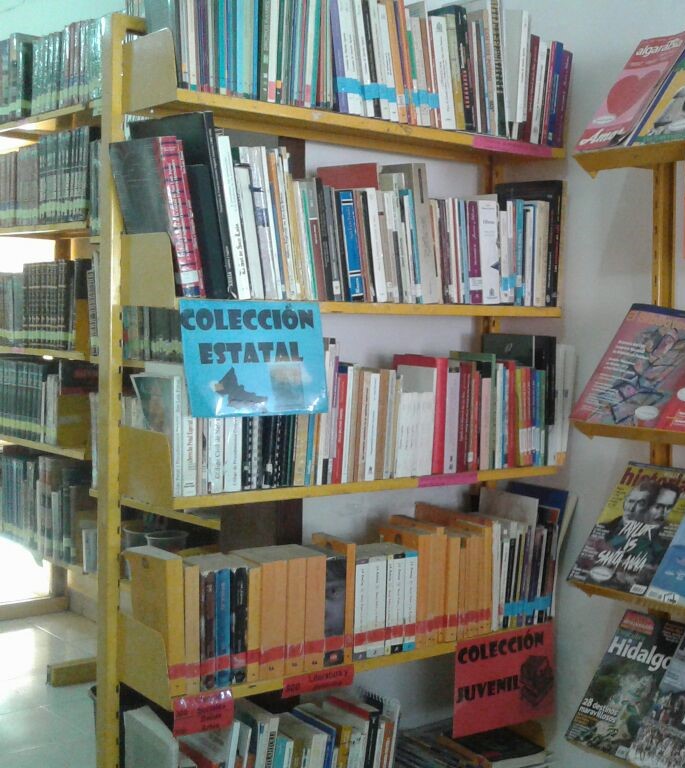 imagen1