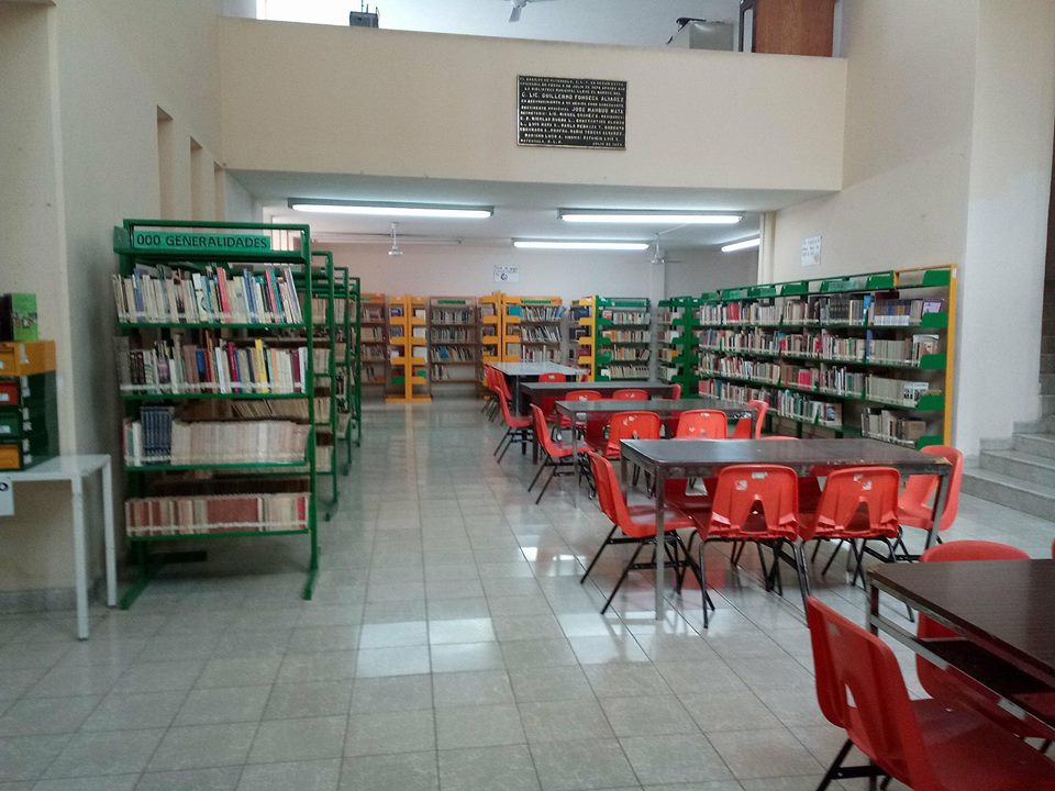 imagen3