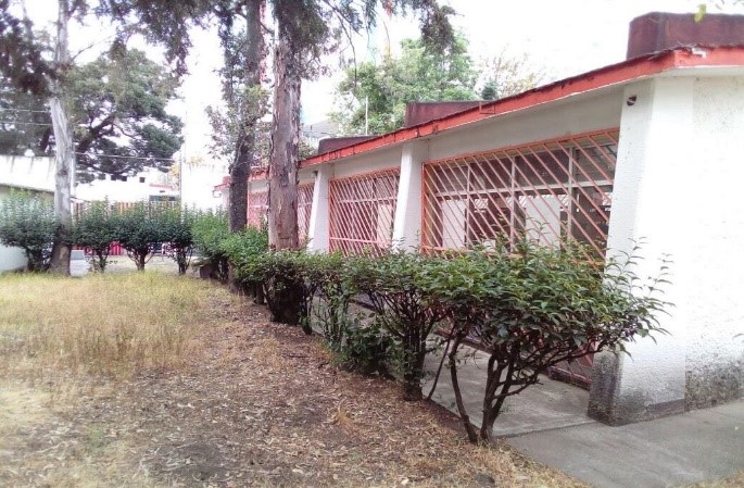 imagen1