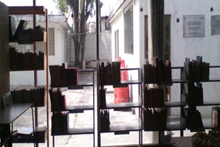 imagen1