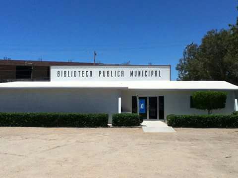 imagen3