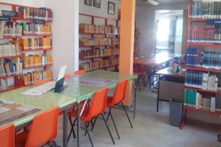 imagen2