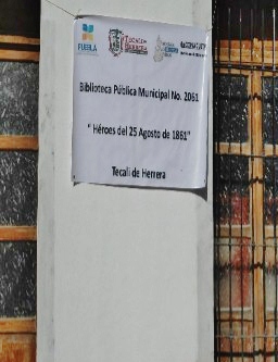 imagen1