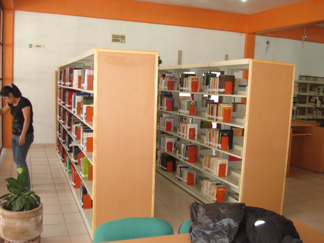 imagen1