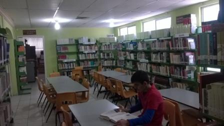 imagen3