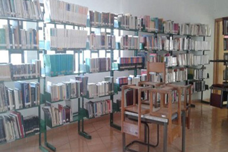imagen2