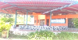 imagen1