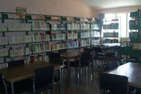 imagen3