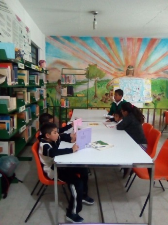 imagen2